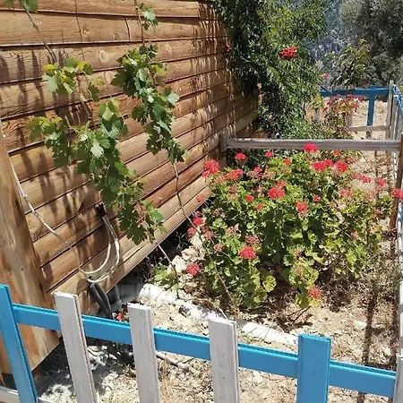 Pavlonya Bungalows Отель